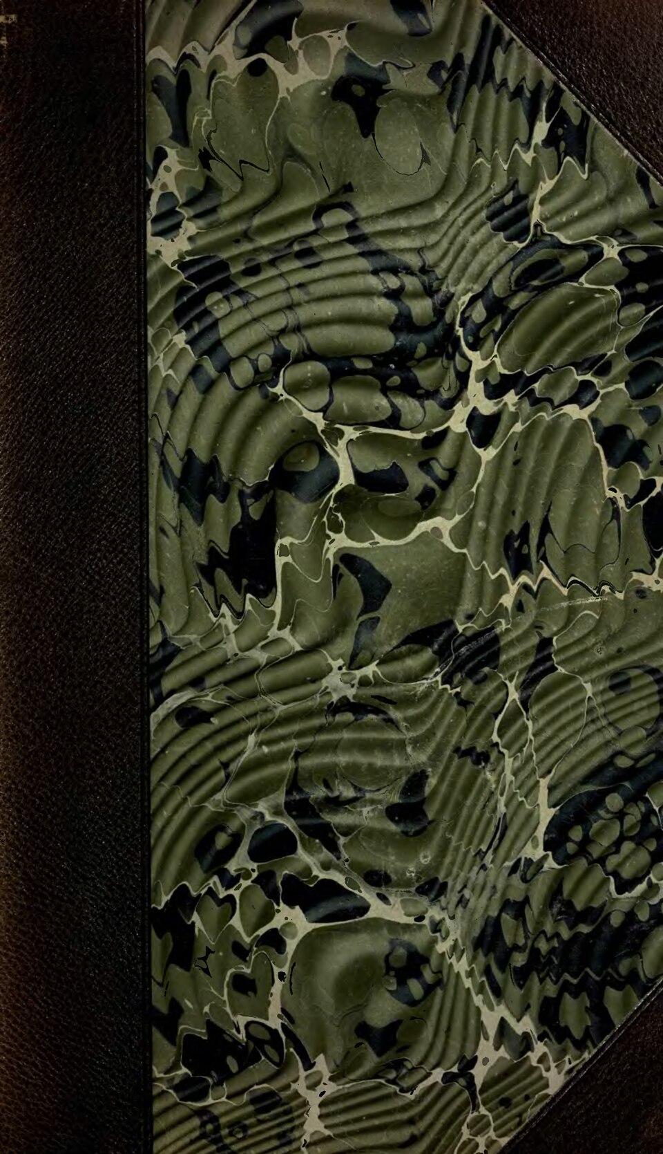 Chicago Faces — The Atlantic Monthly title QS:P1476,en: